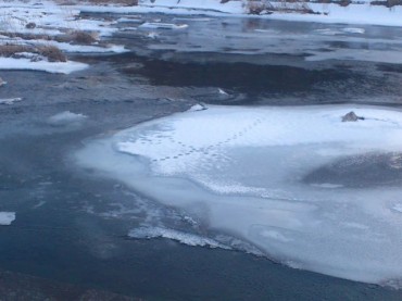 凍った川