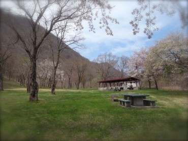 龍泉洞青少年旅行村サイトです。ちょうど初日が桜が満開、帰るときには葉桜になりました。移り変わるさまと暮らしました。
