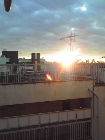 狛江の朝陽