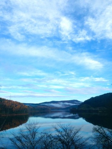 1103gandoko 1103gandoko