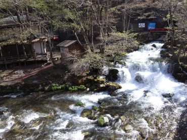 19_original 龍泉洞脇を流れる静川。一年を通じて水は冷たいのだそう。