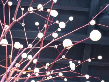 水樹団子準備中