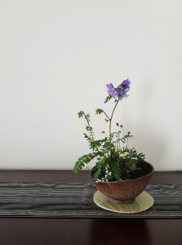 会員I.Yさんの作品。狛江の山野草のアトリエより。