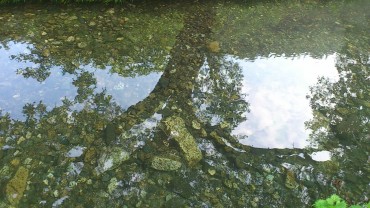 雨上がりです。水の性質のひとつなのかな？映しだす。。。