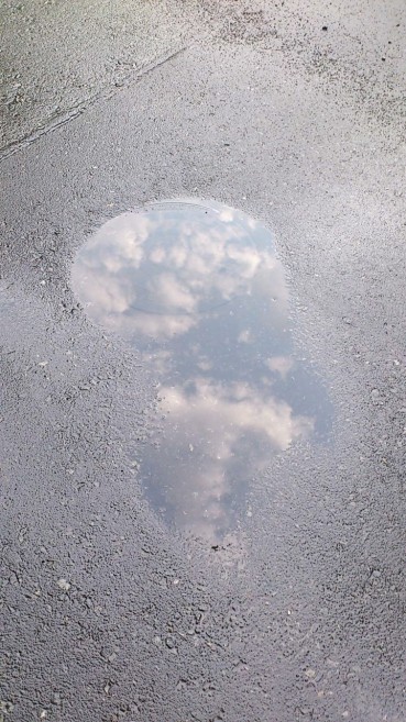 コンクリートの中のソラ（写真　岩手岩泉の智子さん）