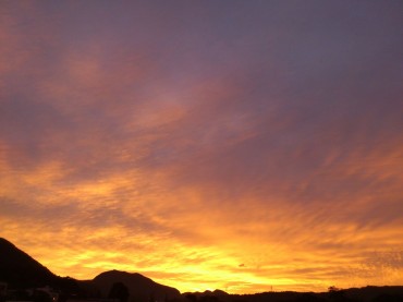 夜明けの色彩　変化…儚くも美しい力。