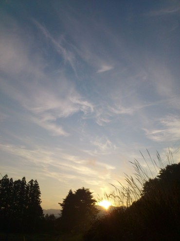 Photo　八重樫智子さん（岩泉町在住）