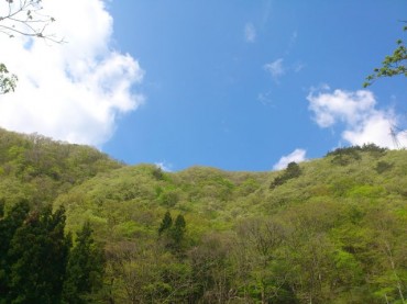 Photo by Satoko Yaegashi