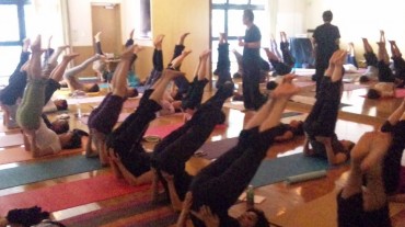 こちらは東京は狛江のサンガです。