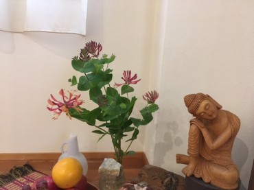 ブッタさまとツラヌキニンドウ