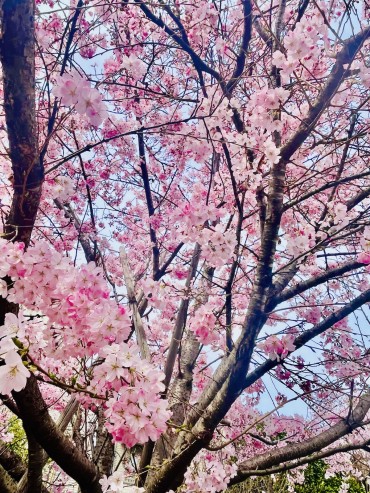 2026年４・５月の月間スケジュール