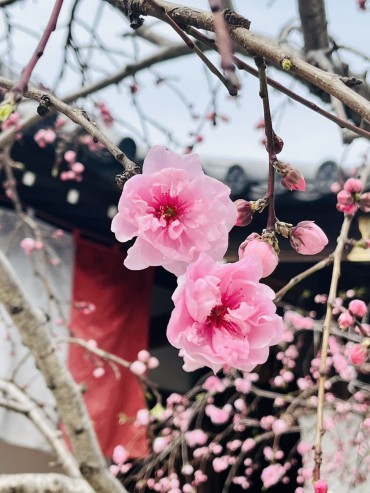 ヨギうた ー 聖者や詩人の言葉 ー 3/24（火）