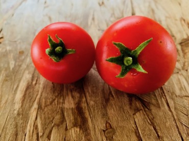 じっくり熟し実った