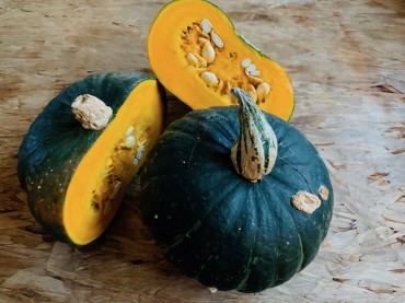 織手さんが実らせたこの秋の南瓜