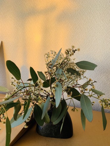 会員S.Aさんが添えてくださったユーカリの香りに包まれました。