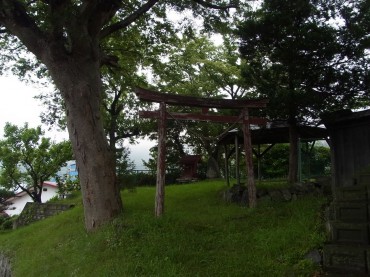 裏の山に鳥居が・・・