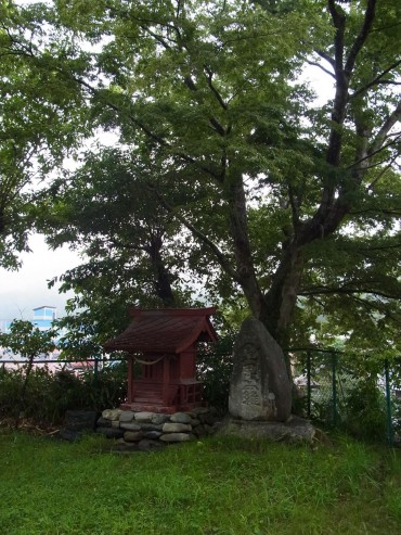 ・・・おはようございます。