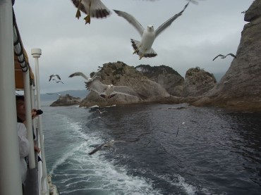 午後、海へ出た。海から陸を見つめる時間