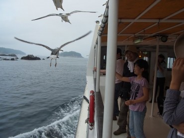 こんなに近くまでくるよ〜。