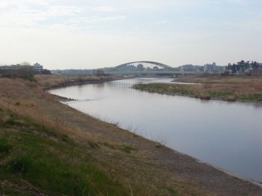 静かな朝。一瞬も同じ顔のない川。