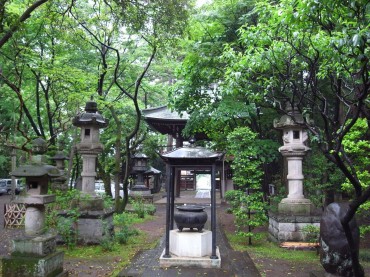 雨上がりの朝の竜泉寺。あっという間にこんなにも緑、緑になりました。ついこの間まで、葉っぱなんてな〜んにもなかったのに。春の勢いですね。