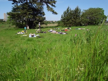 草原が風が〜。眠りへと誘う。。