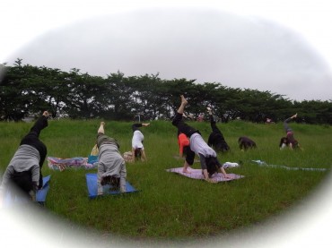 景色が真っ逆さま〜どっちが上？どっちが下？