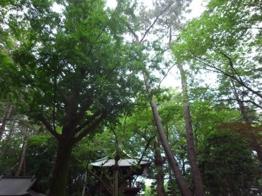 今日も清い竜泉寺。