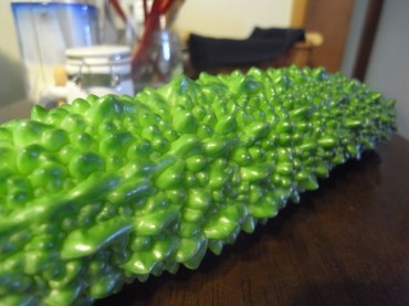 グリーン・カーテンをよく見るようになりました。こちらも、【織り織りのうた】でサポートいただいている寺崎先生のおうちで育ったBIGなゴーヤーマンです。