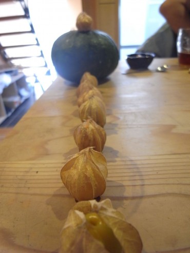 つながれ〜つながれ〜南瓜くんにつづけ〜