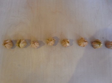 上から・・・真ん中くん、一歩下がっ〜