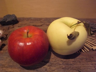 ピタリと一緒です