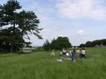 RIMG0552 風のここちよい季節になりますね・・・