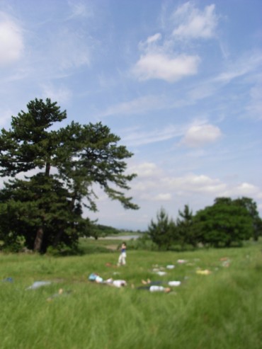 暑い夏でしたね。次回お会いする時は紅葉かしら？