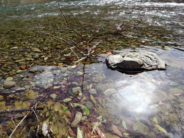 澄んだ水ですね。