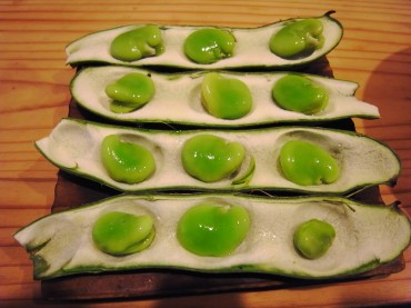 ベッドに寝たくなったので・・・