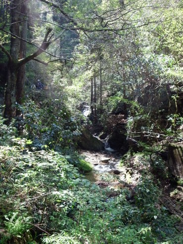 日曜の早朝。『高尾山に行こう！』