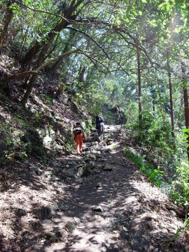 緑と空の青は、なんて相性がいいのでしょうか！