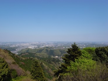 よい天気でした。澄んだ青空に思わず合掌。