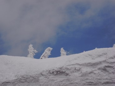 3匹のモンスターです。