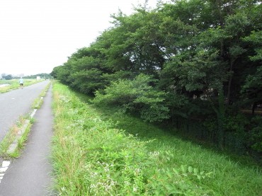 いろいろの人が行き交う、河原道を眺めて、歩きました。