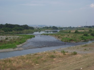 「今日も釣りしてる～。水の中にずっと立っているんだね～」上流を見ています。