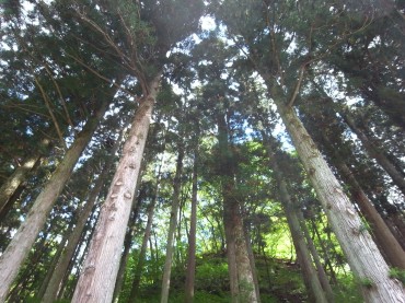 寒くなります。ヨーガでぽかぽかになってください。10／２６～11／７まで研修期間をいただき、早野が留守になります。レッスンの休講・代行がございますので、お気をつけ下さい。