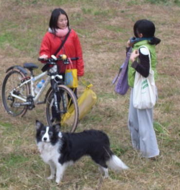 「な～にかしら？イヌがヨーガしたら駄目かしら？」（by　らん）