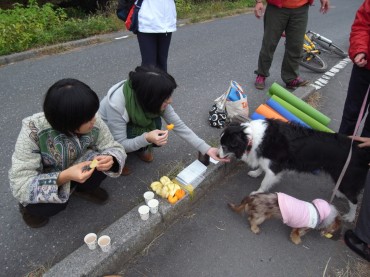 終わった、終わったあ～　チャイ♪　チャイ♪　私たちもしっかりしたワン　チャイくれだワン