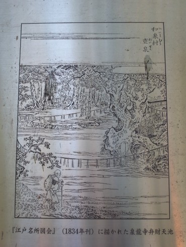過去を知ってか知らぬか、毎朝8時頃、地元のおじさまでしょうか…<br />
長々靴（釣り人の装いです）を履かれ、池に入り、<br />
落ち葉やごみを拾われている方がいらっしゃいます。