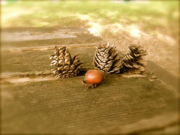 寄り添って、何を話しているのかなぁ？