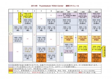 Scheduleのみ貼紙