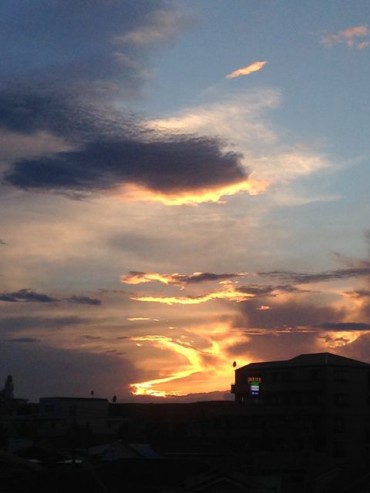 9月7日夕刻の光（狛江）