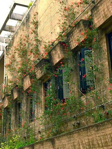 会館ツキヌキニンドウ